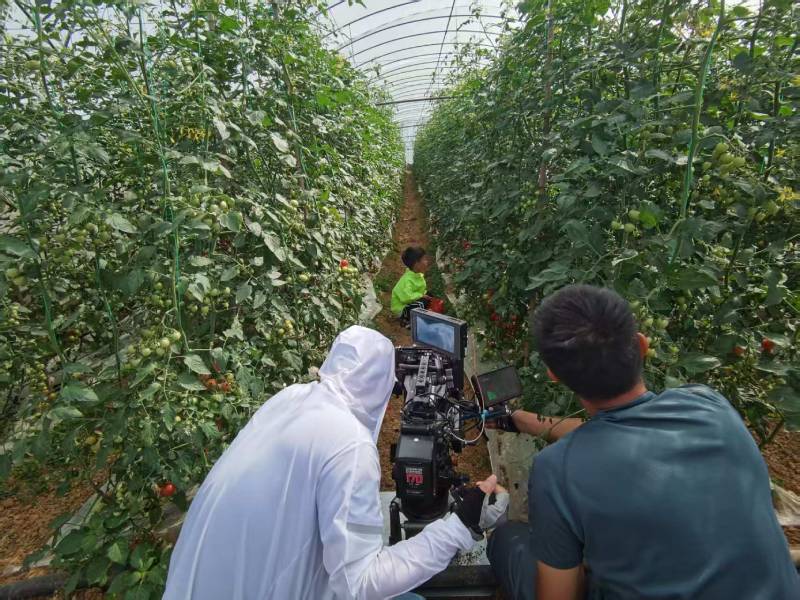 喀什市产品宣传视频拍摄公司进阶指南，助力品牌抢占传播高地